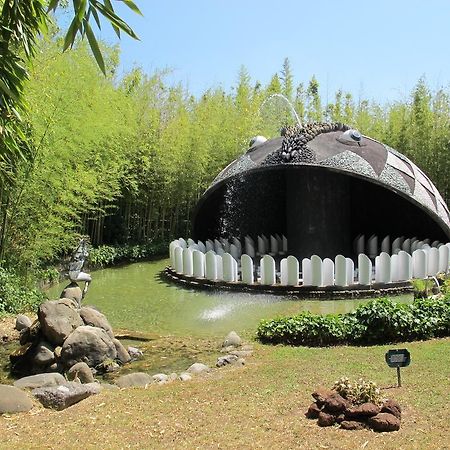 Ulivo Della Querce Villa Querce  Екстериор снимка