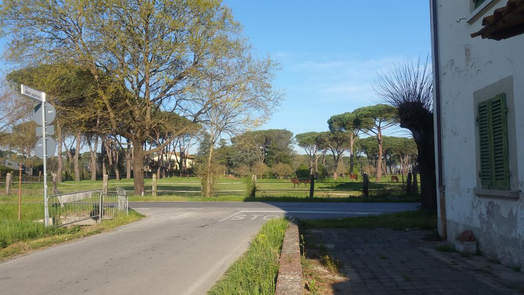 Ulivo Della Querce Villa Querce  Екстериор снимка