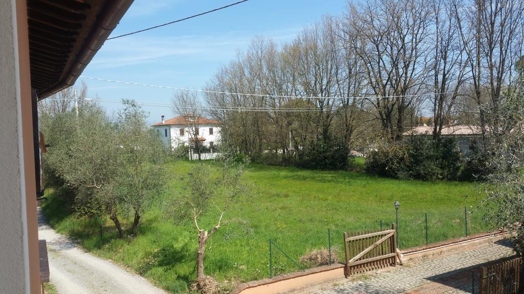 Ulivo Della Querce Villa Querce  Екстериор снимка