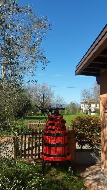 Ulivo Della Querce Villa Querce  Екстериор снимка