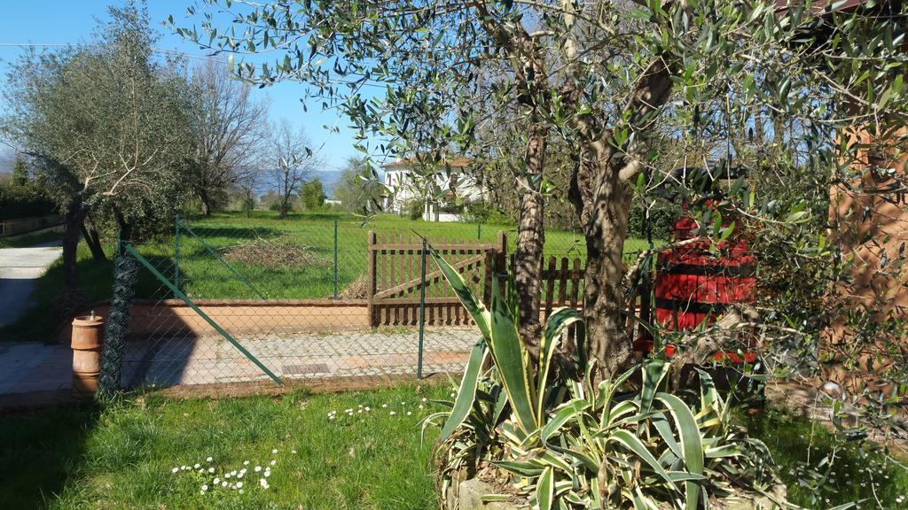 Ulivo Della Querce Villa Querce  Екстериор снимка